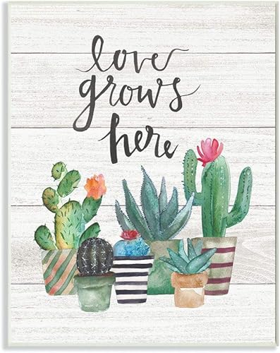 The Stupell Home Decor Collection Love Grows Here Cactus Succulents - Placa Deco