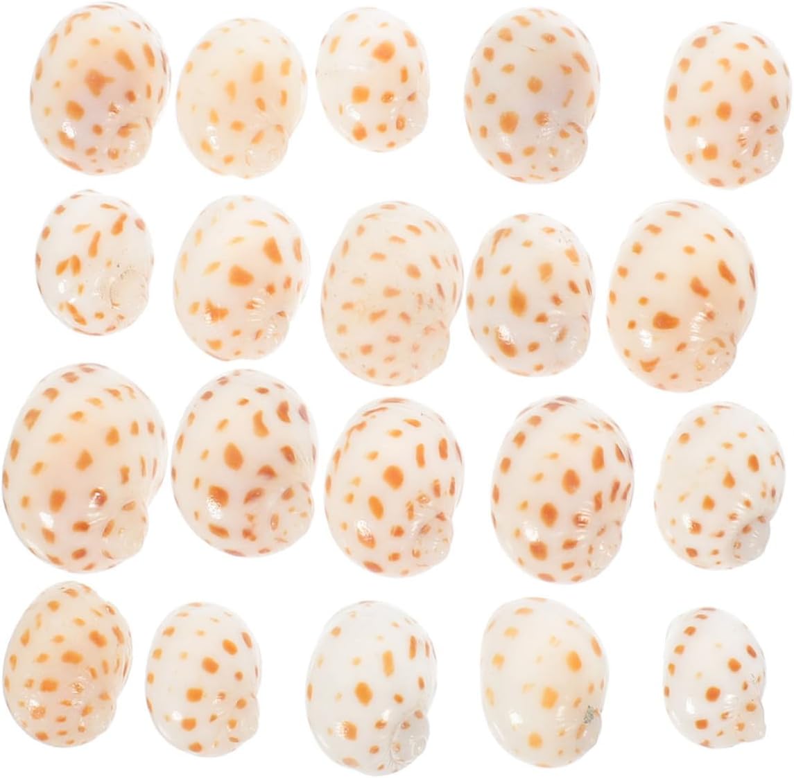 4sets Handmade Shell Decoration Plant Terrarium Decor Ocean Decor Landscape Fish Net Sunken Sea Gravel Platform Aquarium Decorations Small Tank Sand Conch 40pc