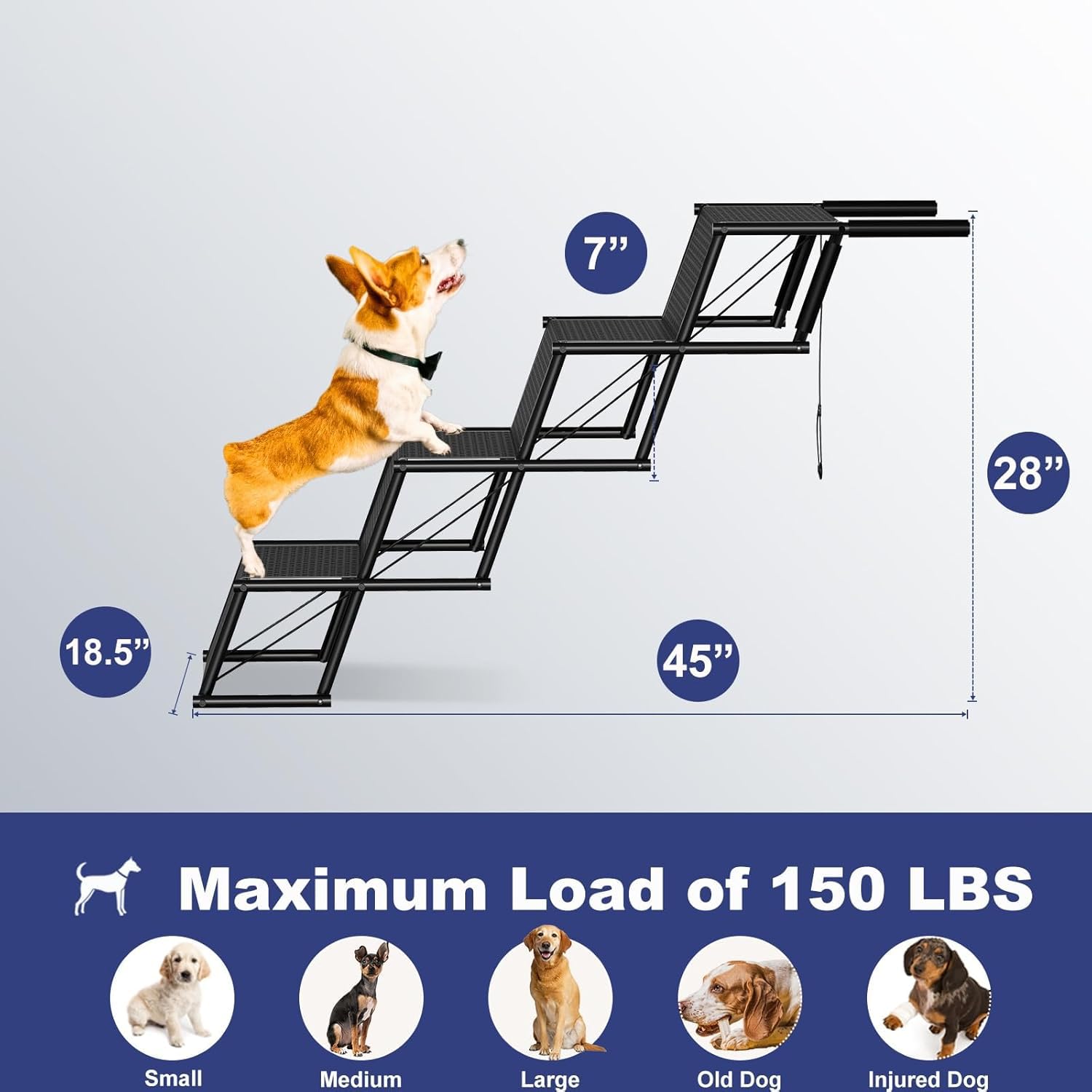 HEYOUTH Rampe pour Chien, Escalier pour Chien, Charge maximale : 80 kg, Pliable, Antidérapante, Pour Camion, Lit, Voiture, SUV, Pour Grands et Petits Animaux
