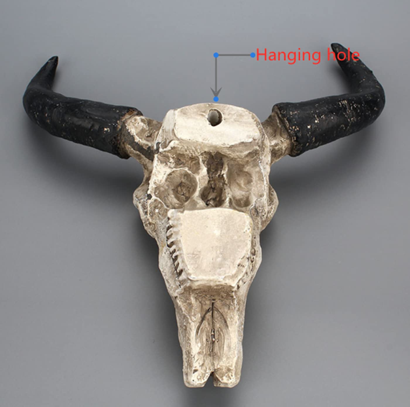 LXLUOO Arazzo da parete con teschio di mucca, resina Longhorn cranio mucca, decorazione da parete per cameretta dei bambini, decorazione in resina con foro di sospensione