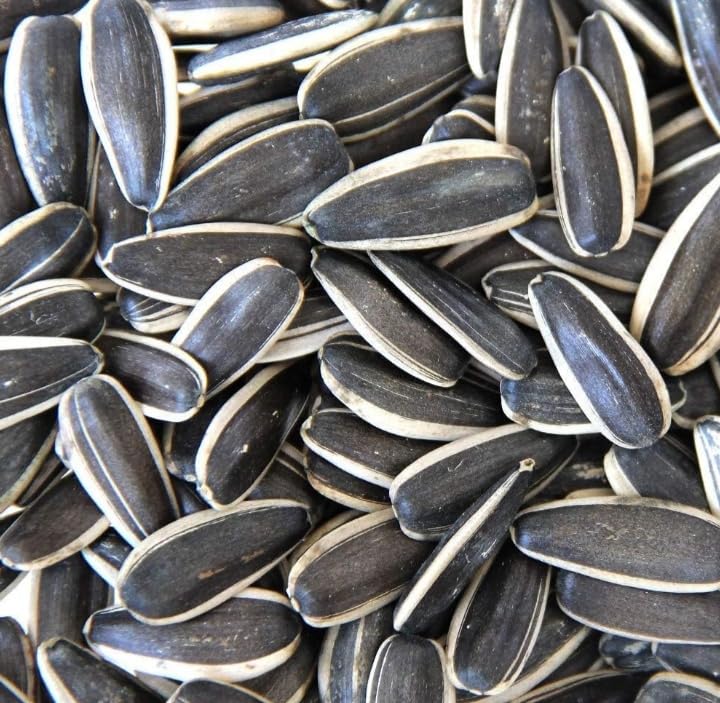 SATARA ETC Sun Flower Seed Bird Food Raw 100% Natural Un-Processed (Pack of1) Wt. 449 gm (B0CHN4NFF1) Amazon Price History, Amazon Price Tracker