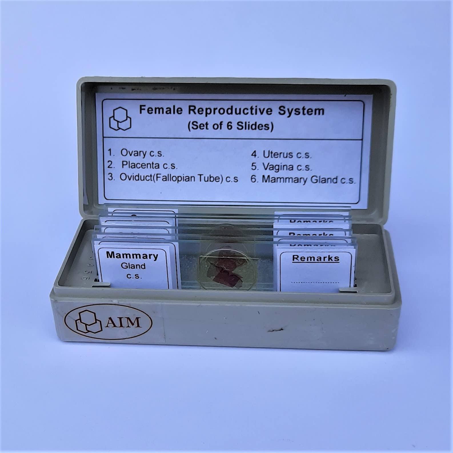 AIM Female Reproductive System Prepared Slides (set of 6)