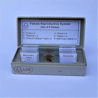 AIM Female Reproductive System Prepared Slides (set of 6)