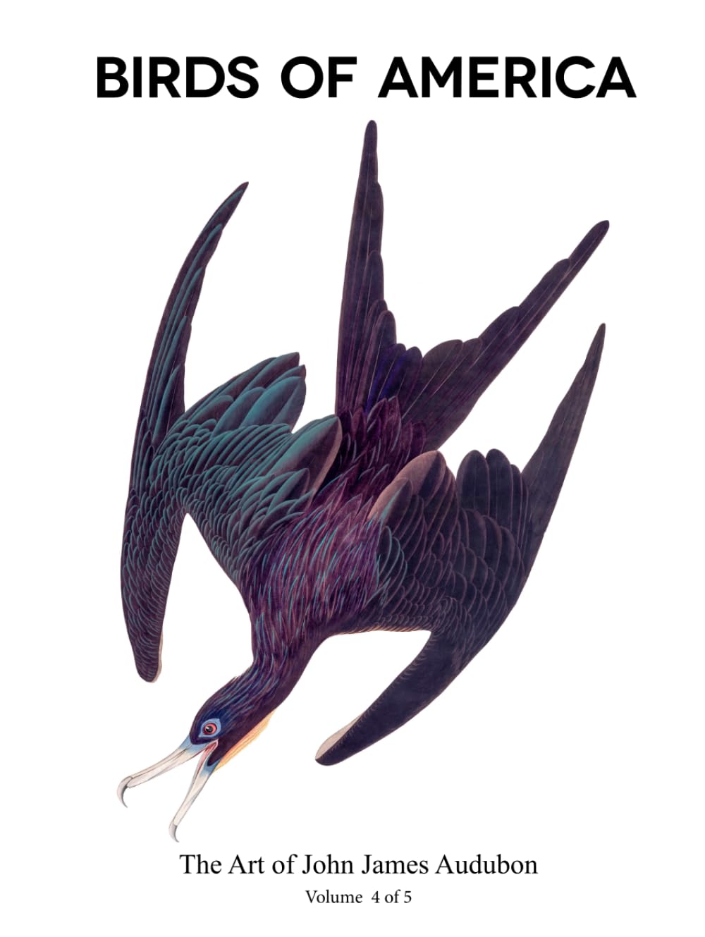 Birds of America 4 of 5 cadeau ideal passionne nature