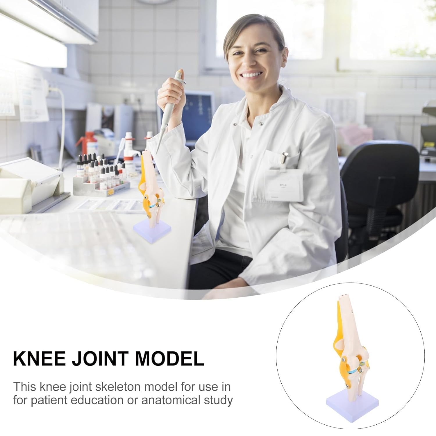 Functional Human Knee Joint Anatomy Model, Life Size Movable Human Joint Anatomy Model, for Medical Education Demonstration, ClassroomStudents Training