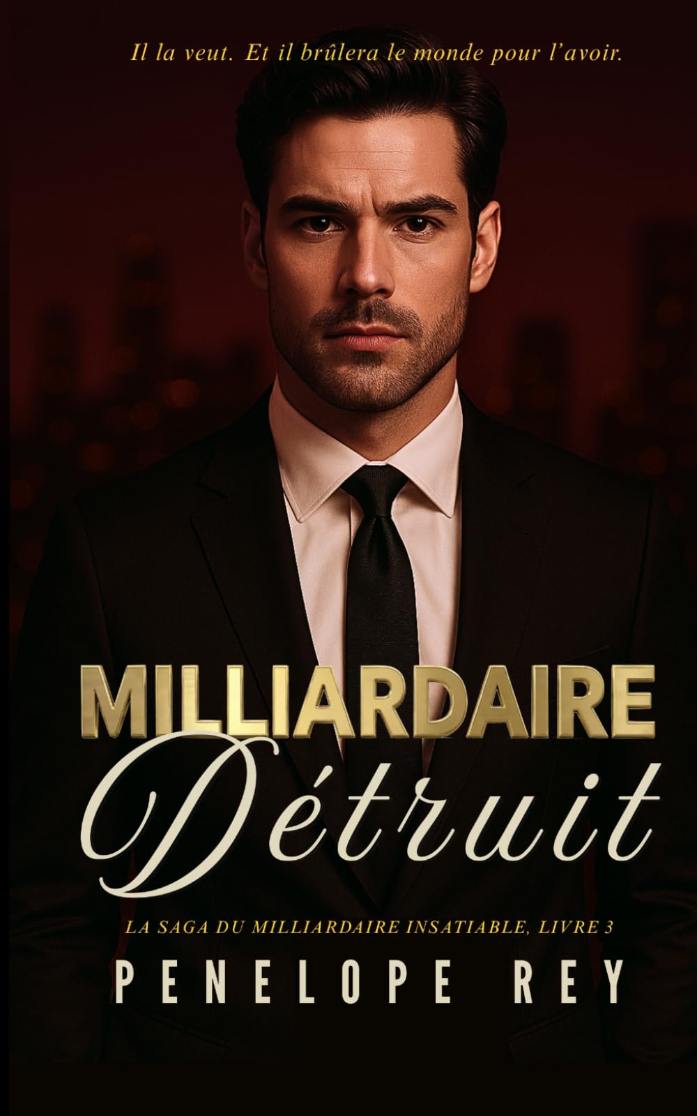 MILLIARDAIRE DÉTRUIT: Dark romance, différence d’âge, obsession, kidnappée par un milliardaire (MILLIARDAIRE INSATIABLE: Dark Steamy Billionaire Romance, Age Gap, Forced Proximity, Morally Gray Hero)