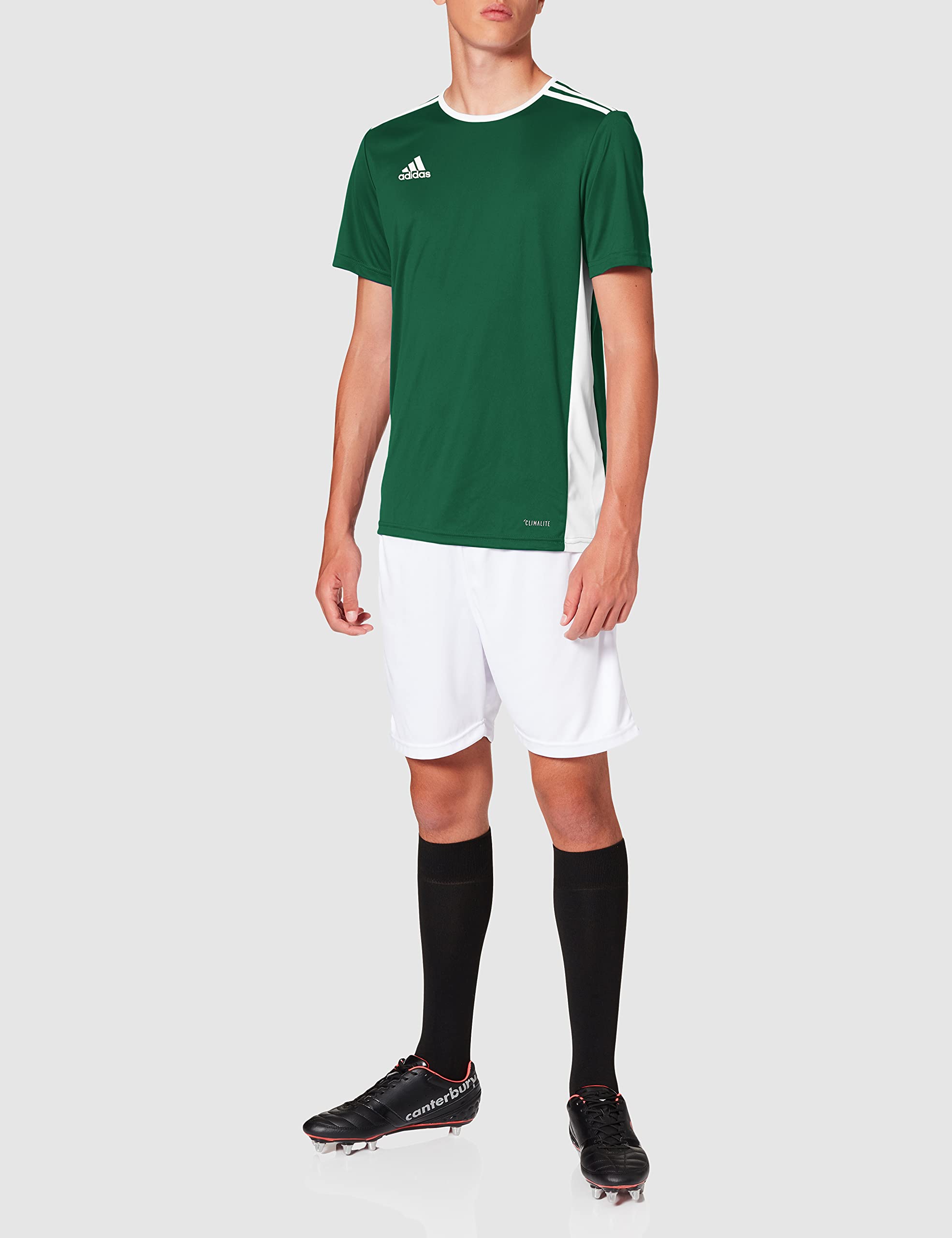 adidas Męska koszulka Entrada 18 JSY (krótki rękaw)
