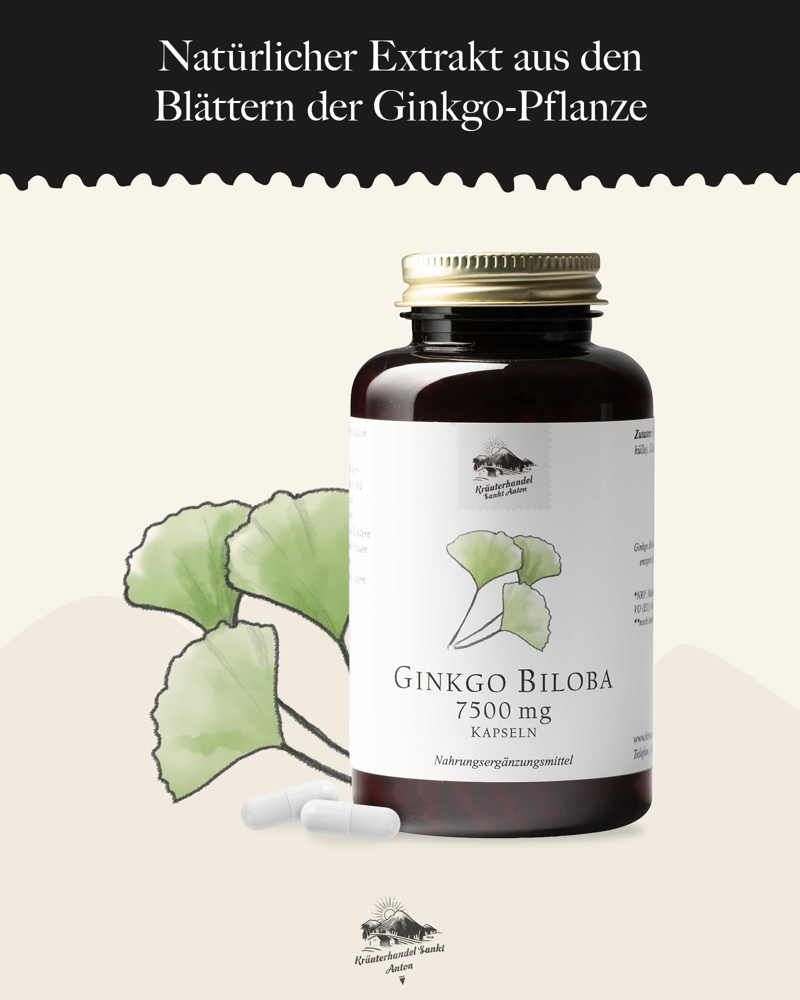 KRÄUTERHANDEL SANKT ANTON® - Ginkgo Biloba 7.500 Supra Kapseln - Hochdosiert - Laborgeprüft - Deutsche Premium Qualität (360 Kapseln)