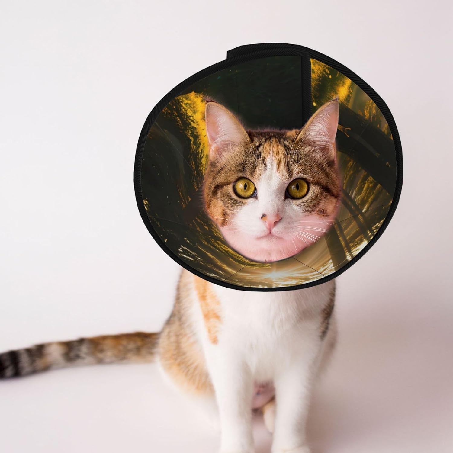 Morning Sunlight in Wilderness Print Cat Cone Collar, Adjustable Elizabethan Collar, Soft Dog Recovery Collars, for Small Large Cats