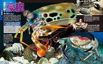 動く図鑑MOVE シリーズ 全11冊　dvd11枚付き　魚　昆虫　危険生物 講談社の動く図鑑MOVE 危険生物 新訂版 | 講談社,小宮 輝之