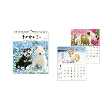 Amazon | ホールマーク 2025年 カレンダー 壁掛け 小 ほめわんこ