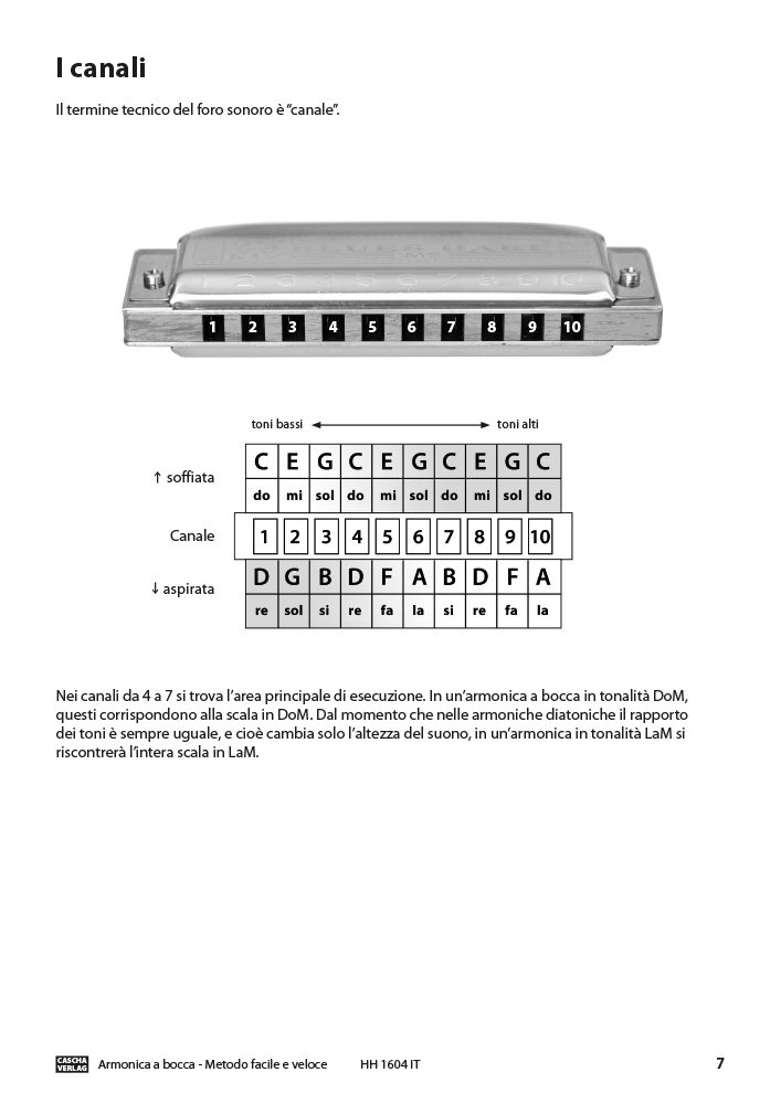 CASCHA Set d'apprentissage avec un harmonica diatonique de haute qualité en do majeur, méthode italienne pour débutants, étui et chiffon de nettoyage, idéal pour débutants & adultes, Noir