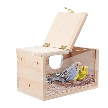 限定製産リモージュボックス　鳥かご　フランス製　トリンケット　ミニチュア　インコ Amazon.co.jp: Roisin 1 ピースインコ巣箱透明鳥小屋ケージ木製