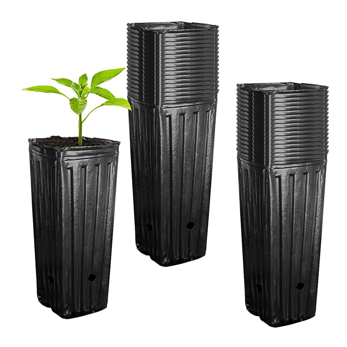 Pots de pépinière de Plantes Profondes 50 pièces, récipient semis d'arbres Taille avec Trous Drainage pour Le Jardin