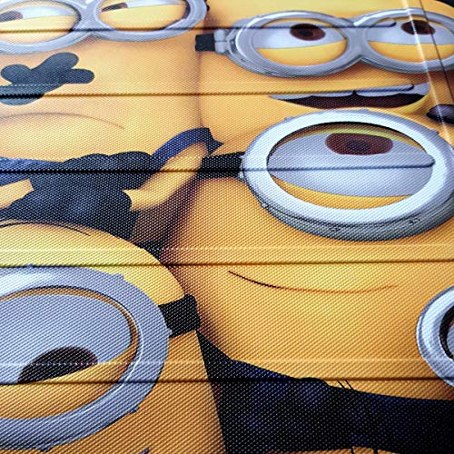 minion seat covers and floor mats