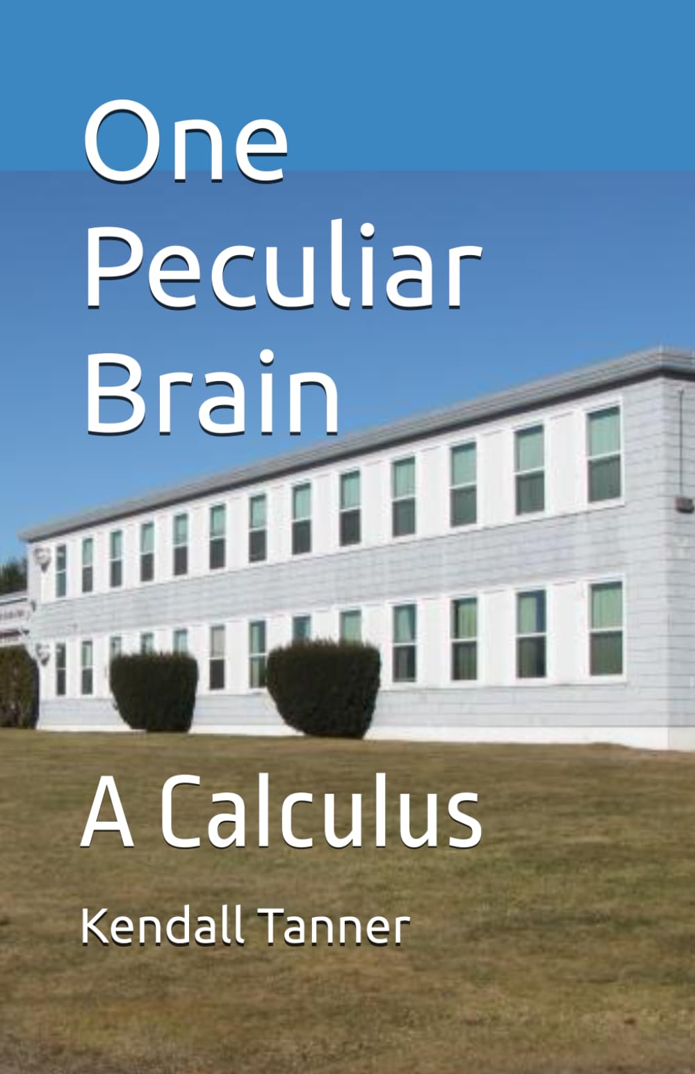One Peculiar Brain: A Calculus (One Peculiar Boy)