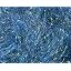 Sardine