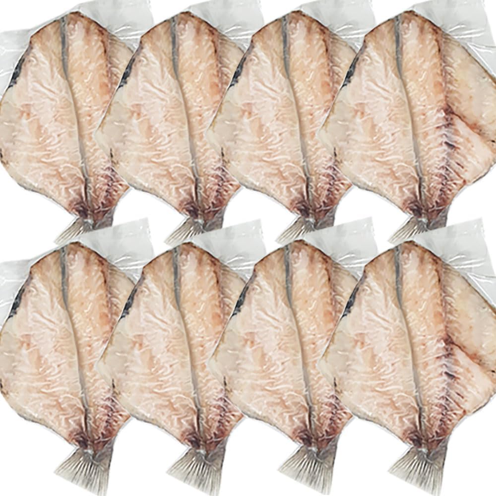 特大44㎝アラフラオオニシ法螺貝 ほら貝 ホラガイ❣️爆音です