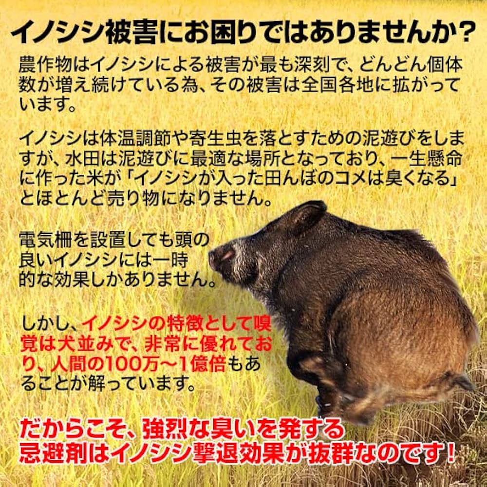 Amazon | イノシシ撃退・イノシシなぜ逃げるニュー改訂版20枚