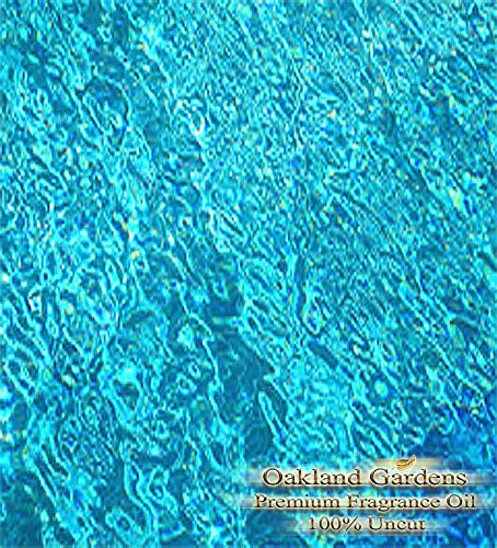 BULK Fragrance Oil - SEA GLASS Fragrance - Fresh clean scent of sea water, fresh air, sparkling citrus and soft woods - By Oakland Gardens (120 mL - 4.0 fl oz Bottle)