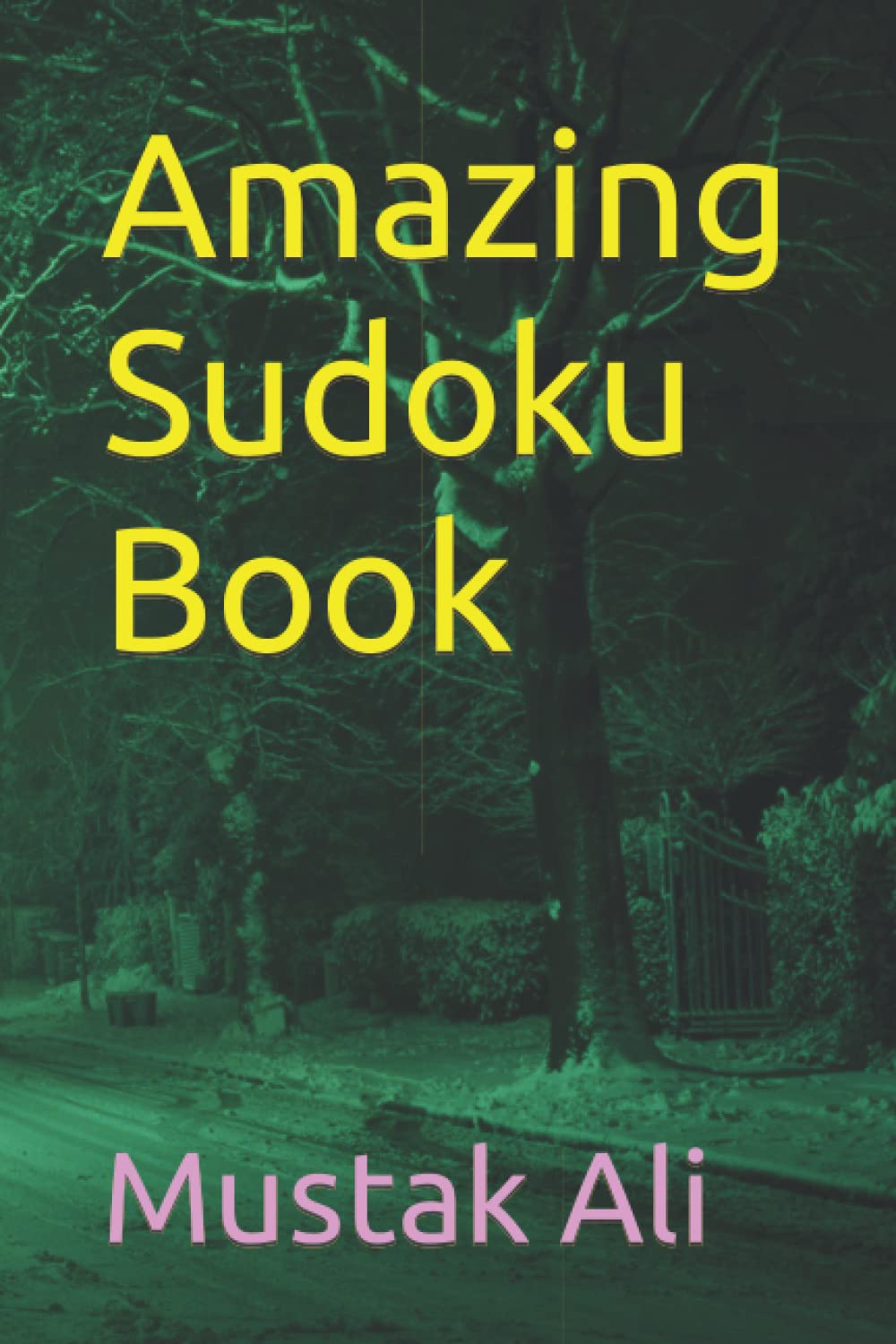 Amazing Sudoku Book