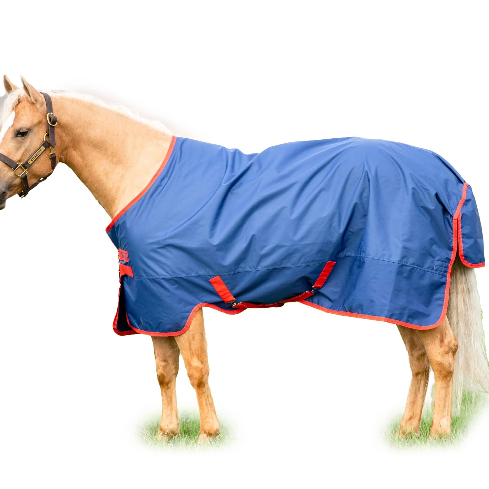 Horseware Amigo Mio Turnout lite Dark Blue red Gr. wählbar