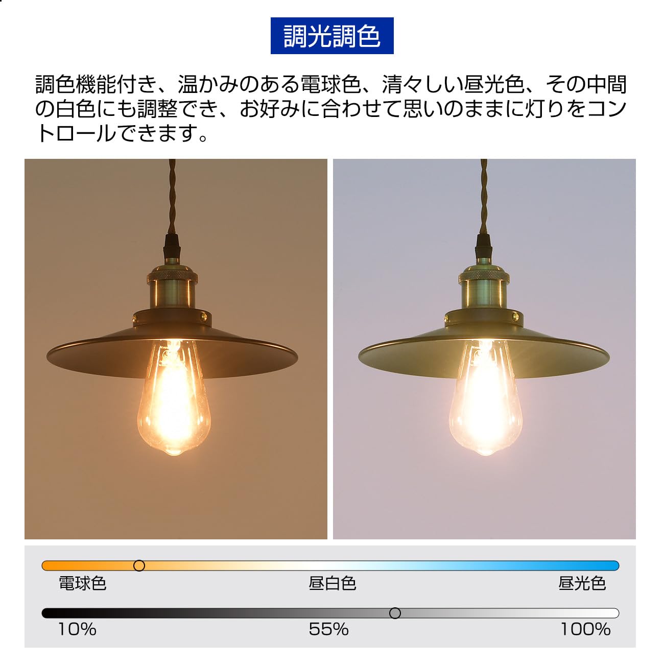 LunaPrimal ペンダントライト E26 LED LunaPrimal ペンダントライト E26 LED 月のペンダントライト|匠