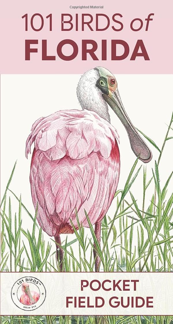 101 Birds of Florida: Pocket Field Guide (101 Birds Pocket Field Guides)