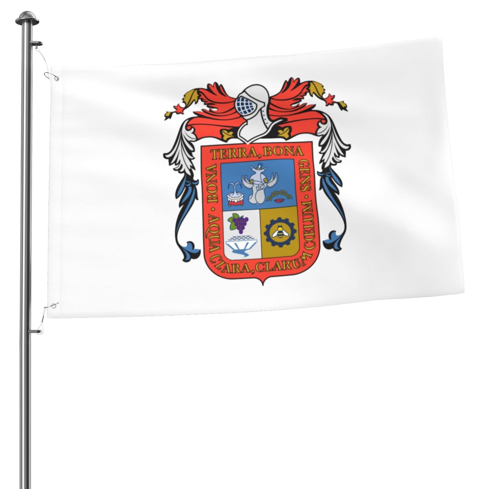 KOSPOGO Double Sided Aguascalientes Flag, 2x3 Ft, Green, Polyester, Patriotic, Independence Day, Home, Garden, Room, Casual Gatherings, Social Events