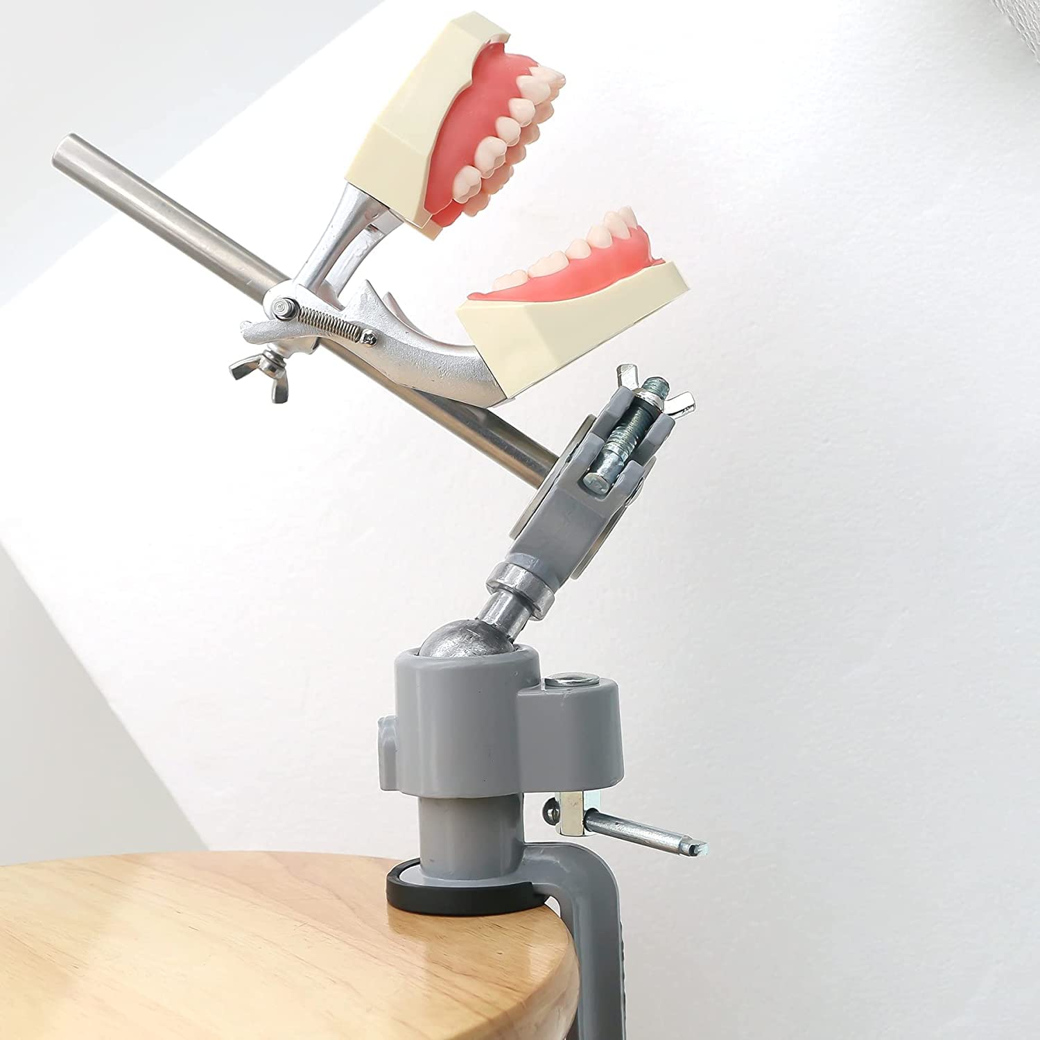 Typodont - Poste de montaje con dientes ajustables de 360 grados, compatible con Kilgore Nissin Columbia Dentoform Frasaco 360 tipo (poste de montaje Typodont - Poste de montaje con dientes ajustables de 360 grados, compatible con Kilgore Nissin Columbia Dentoform Frasaco 360 tipo (poste de montaje