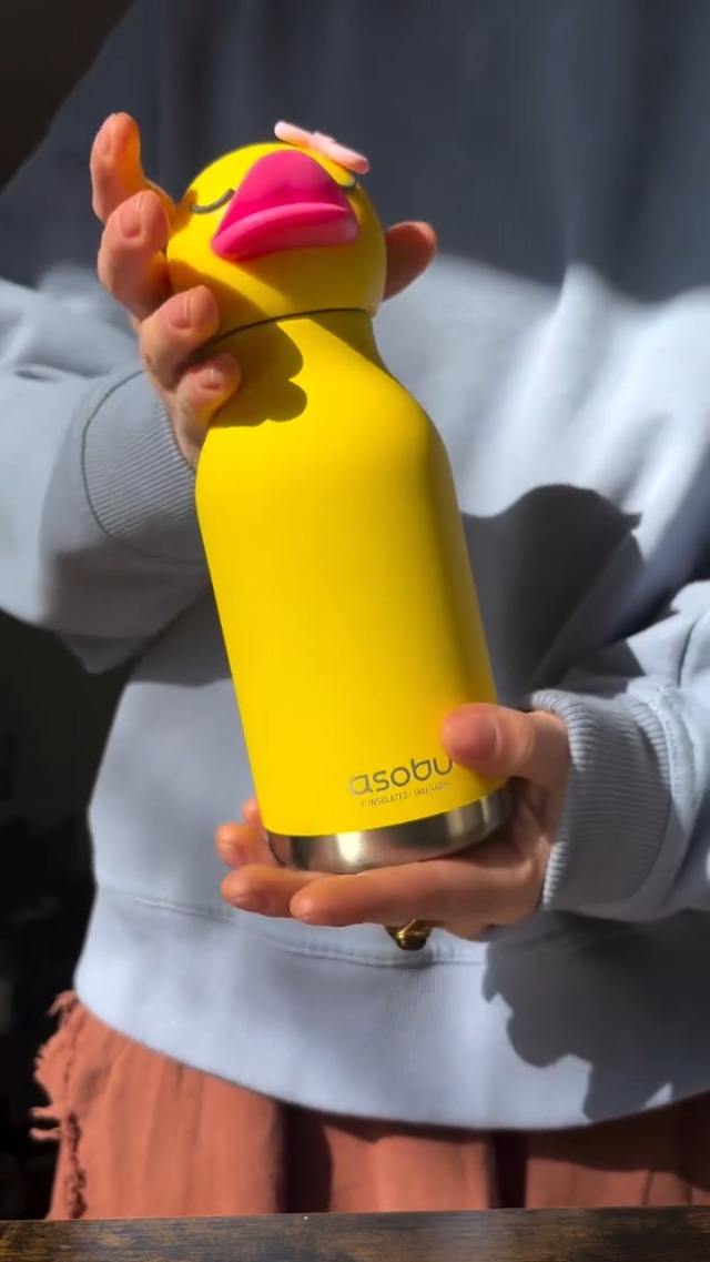 Amazon.com: asobu Bestie Bottle Insulated Stainless Steel Water