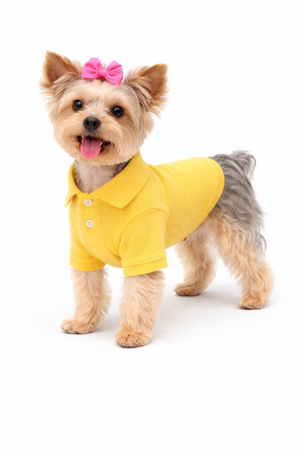 lovelonglong Basic Dog Polo Shirts Premium Cotton, Polo T-Shirts for Large Medium Small Dogs with a Two-Button Collar Blank Color Yellow XS