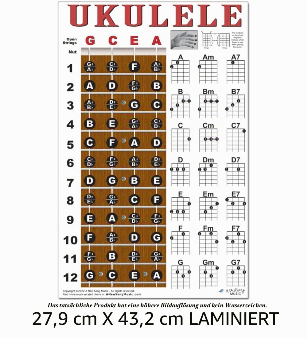 A New Song Music Laminierte Ukulele Griffbrett Noten & Easy Beginner Akkord Diagramm 27,9 x 43,2 cm Anleitung Poster für Sopran Konzert Tenor Ukulele