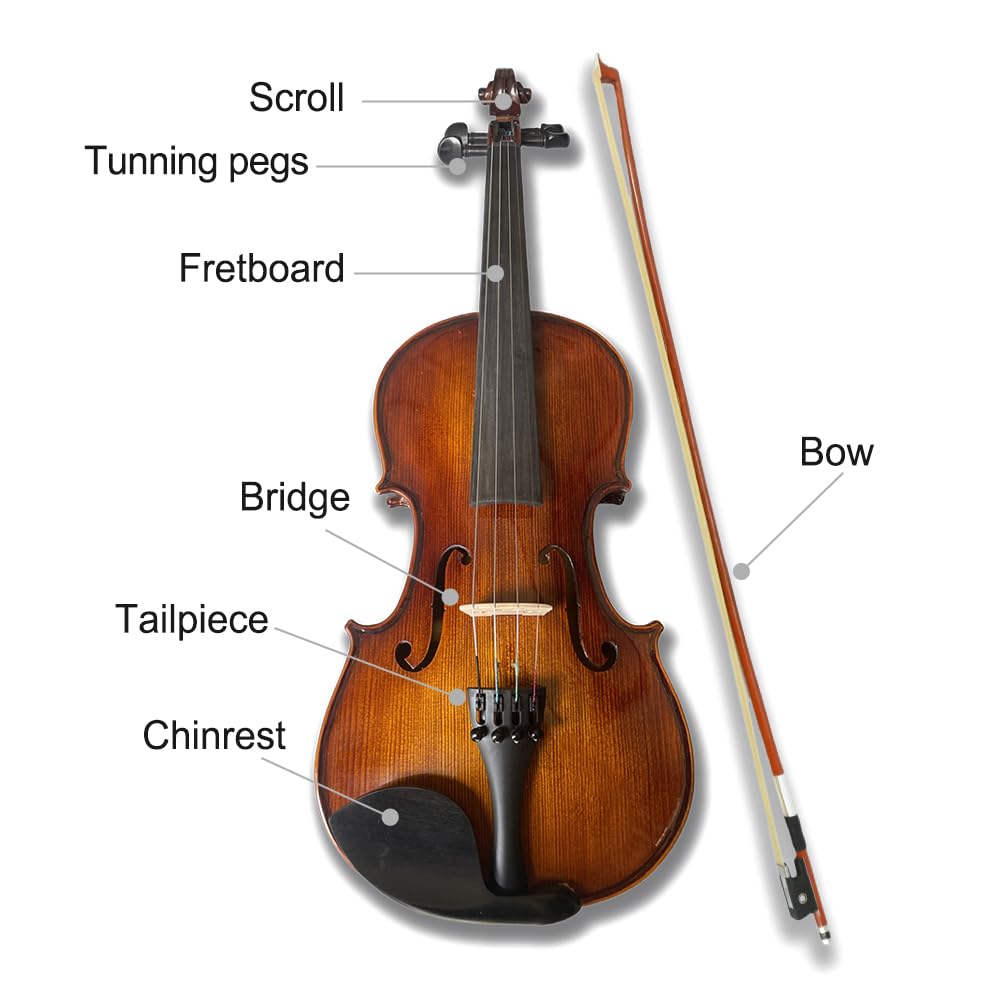 Violino Acustico 1/2 Kit Violino a 4 Corde con Custodia, Archetto per Adulti e Bambini Legno massello Ebano Accessori Acero Abete Bel Suono (Misura 1/2) (Misura 1/4)