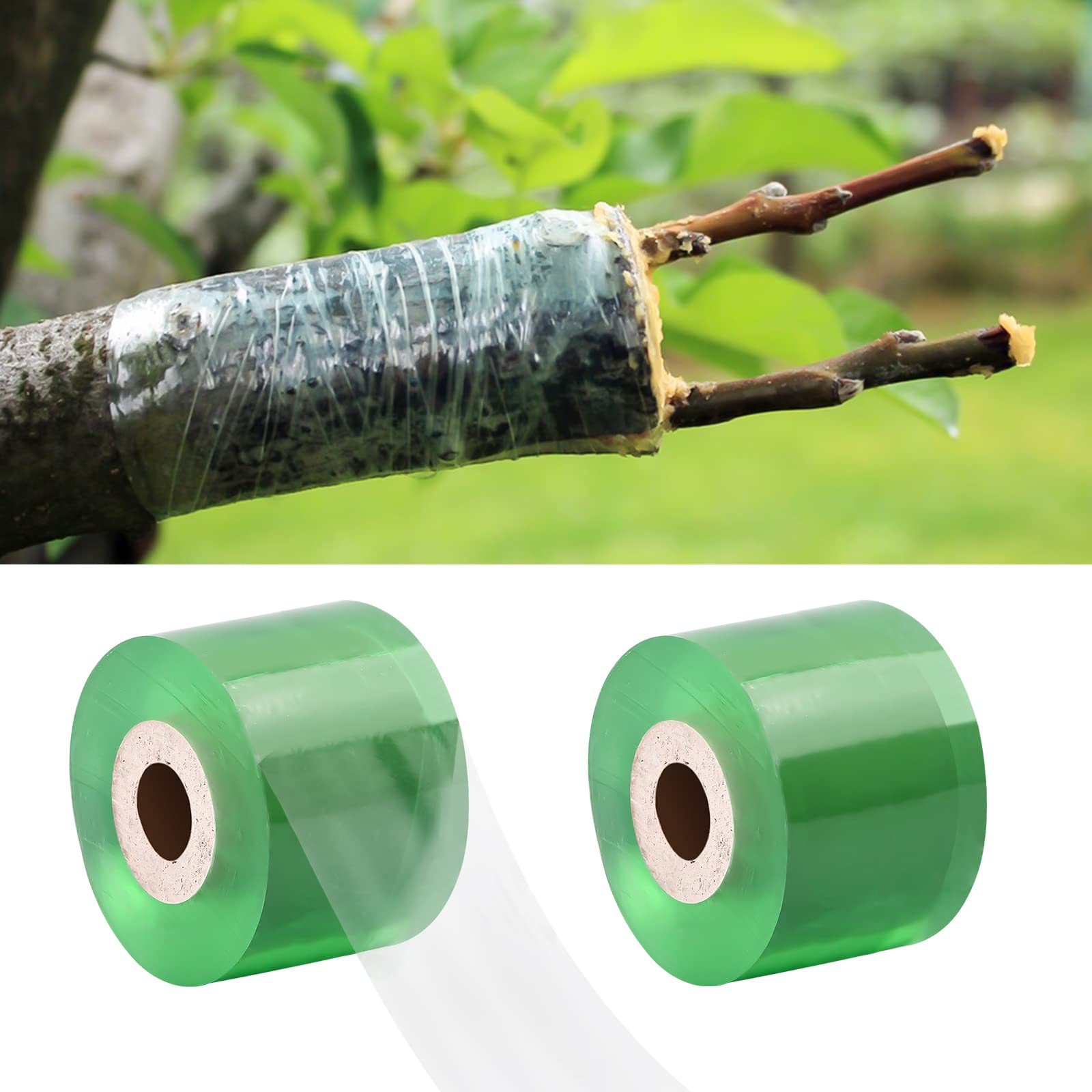 2 Rollen Pfropfband 100m X 4cm - Biologisch Abbaubares Pflanzenband