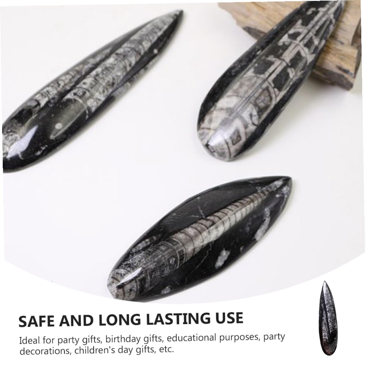 Especimen Fósil Orthoceras Natural Grande Modelo de Paleontología para Enseñanza y Colección Juguete Educativo para Decoración Científica de -océano