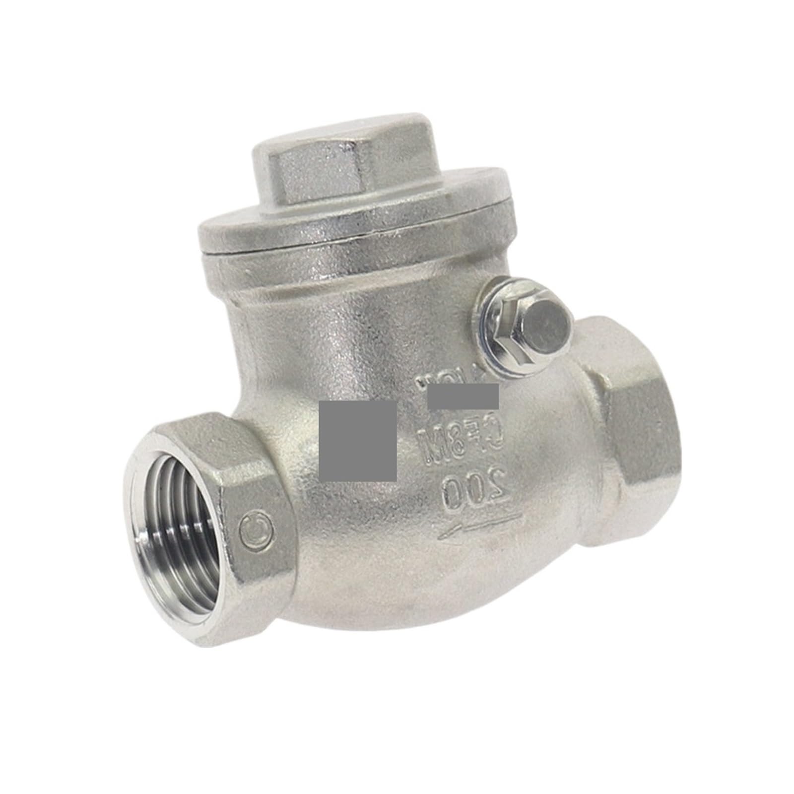 AWWVRLMM 1pcs SS 304 Stainless steel wire mouth horizontal non-return DN15-DN100 female thread swing check