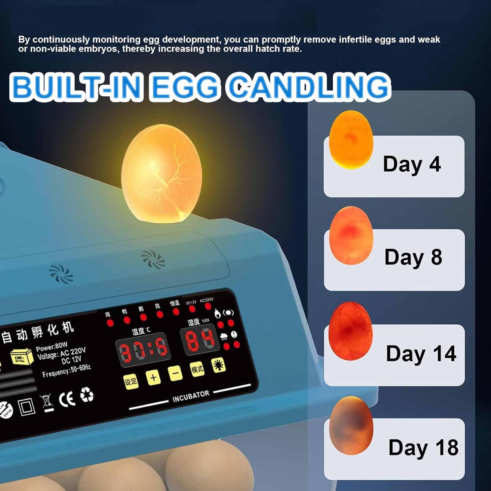 Incubadora automática de huevos, incubadora digital inteligente con giro automático, control de temperatura y humedad, vela integrada, doble potencia para pollo, pato, ganso, huevos de codorniz