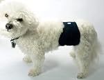 Teamoy Couches réutilisables pour chiens mâles, bande de chiot lavable 3 (XXL, 29 pouces -34 pouces taille, noir+ gris+ bleu du lac)
