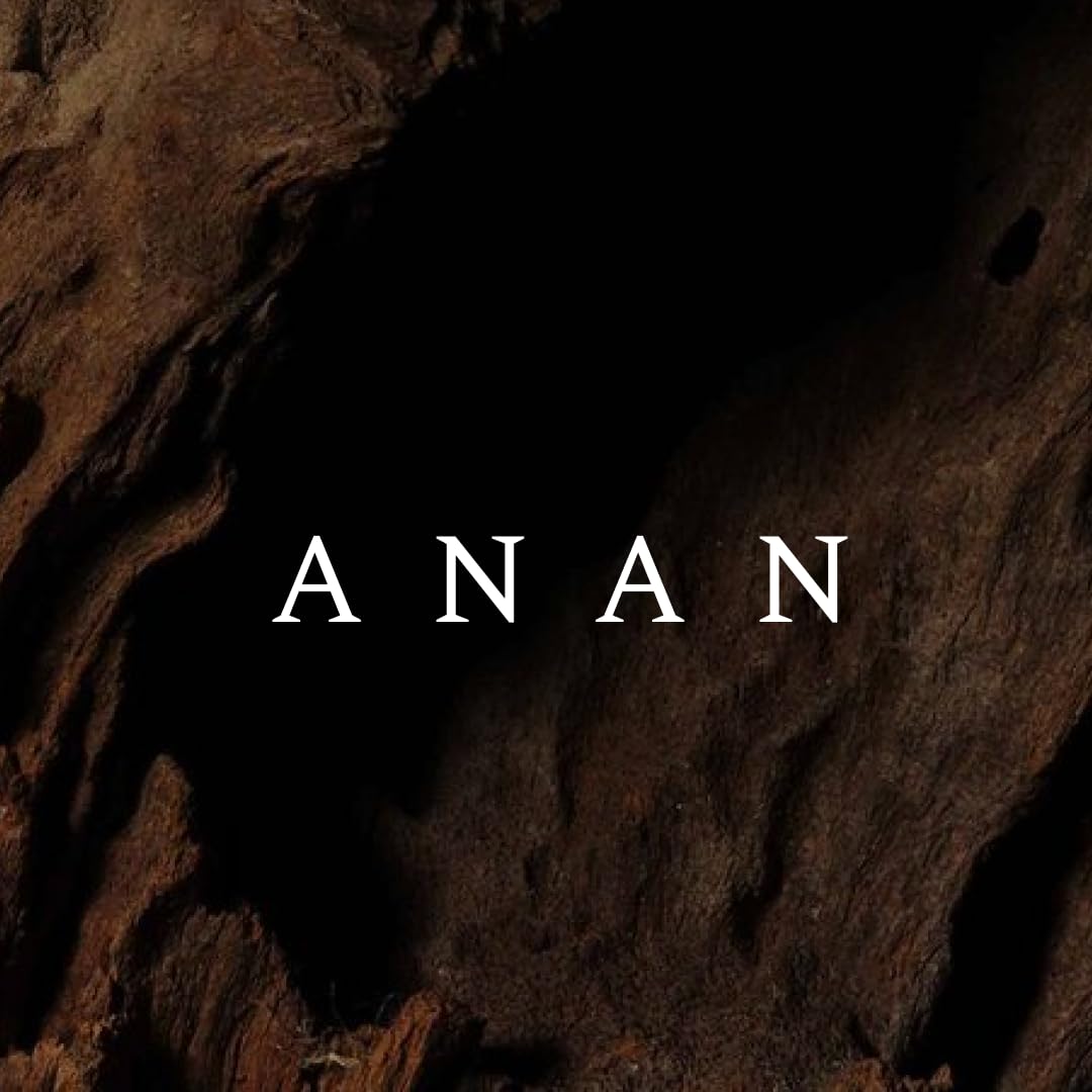 Anan Arabic Perfume for Men, Eau de Parfum, 2.7 fl oz, Rich in Oud, Woody Scents