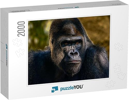 Rompecabezas de gorila gorila de las tierras bajas occidentales con espalda plateada masculina, gorila gorila con 2000 piezas