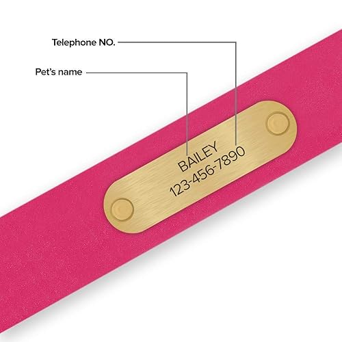 Miniatura 7 de Regal Dog Products Large Pink Waterproof Dog Collars with Custom Engraved Name Plate  Vinyl Coated, Anti, Easy to Clean Personalized Biothane Dog