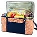 Picnic at Ascot Ultimate Day Cooler- Combines Best Qualities of Hard & Soft Collapsible Coolers - Diamond Orange