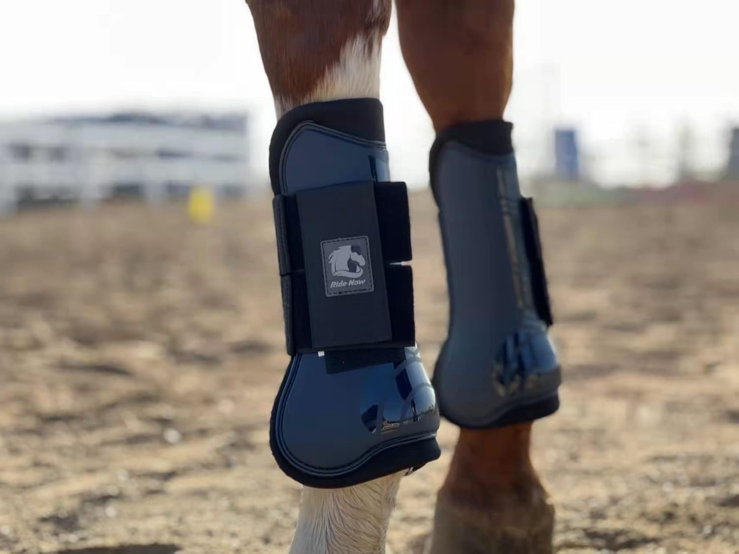 Ride Now Horse Tendon Boots Open Front/Fetlock Boot for Horse Set of 4