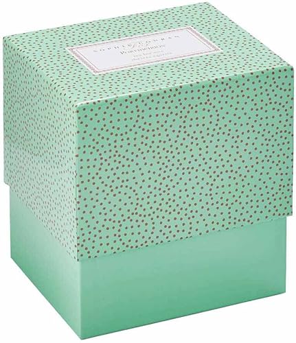 Miniatura 6 de Portmeirion Sophie Conran Tea for One - Juego de tetera, taza y platillo, juego de té apilado para el hogar u oficina, hecho de porcelana fina, apto