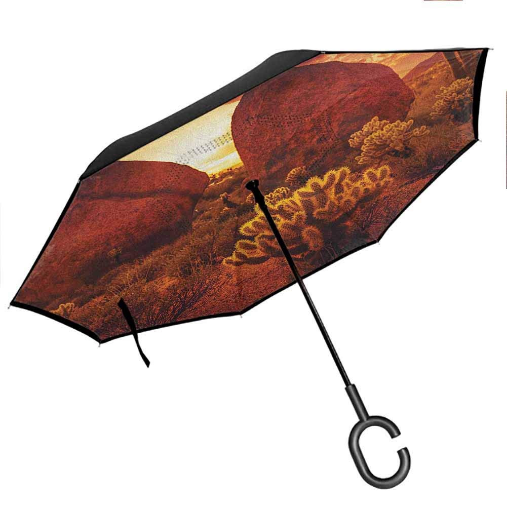 Office Chairs Scottsdale All Chairs