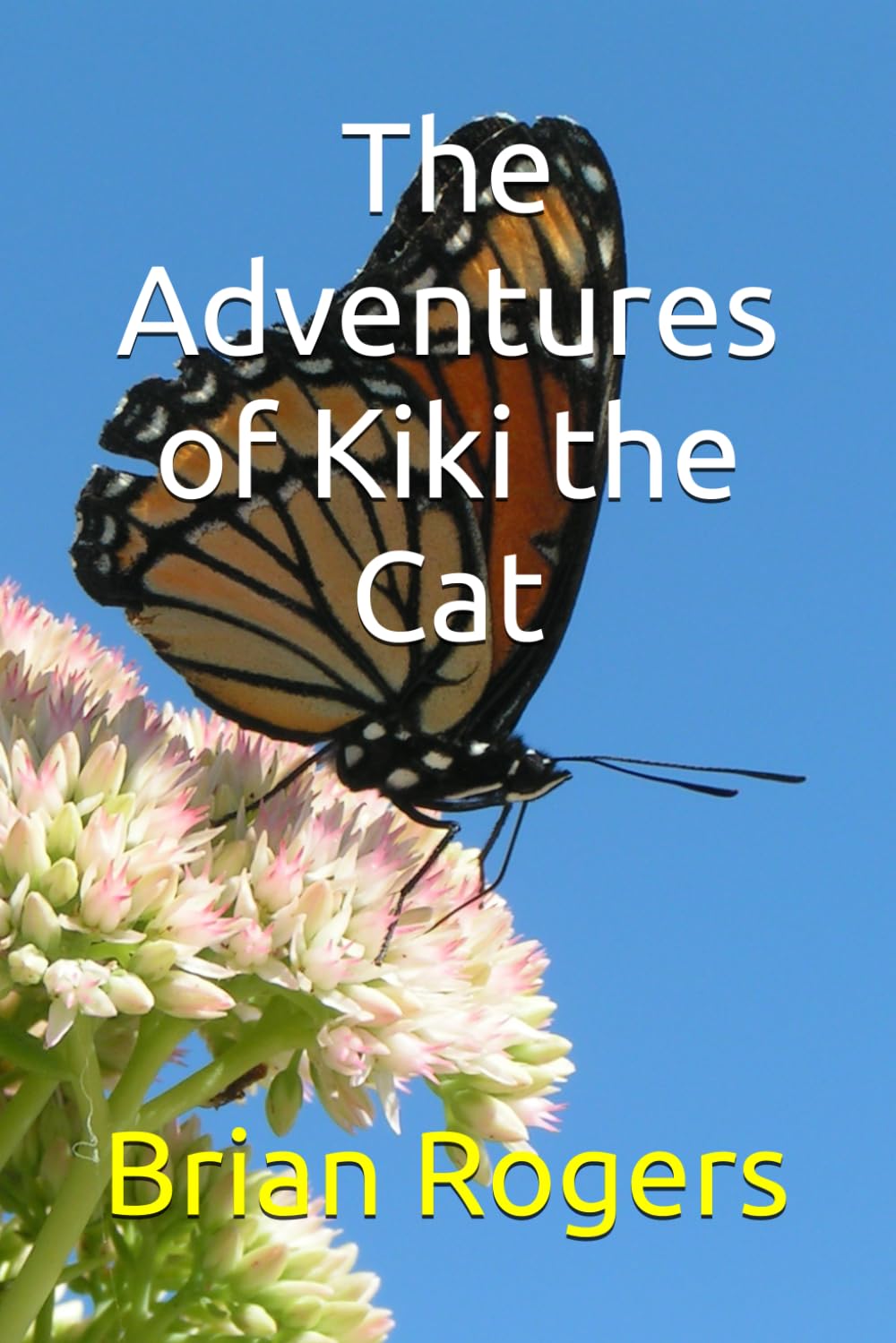 The Adventures of Kiki the Cat