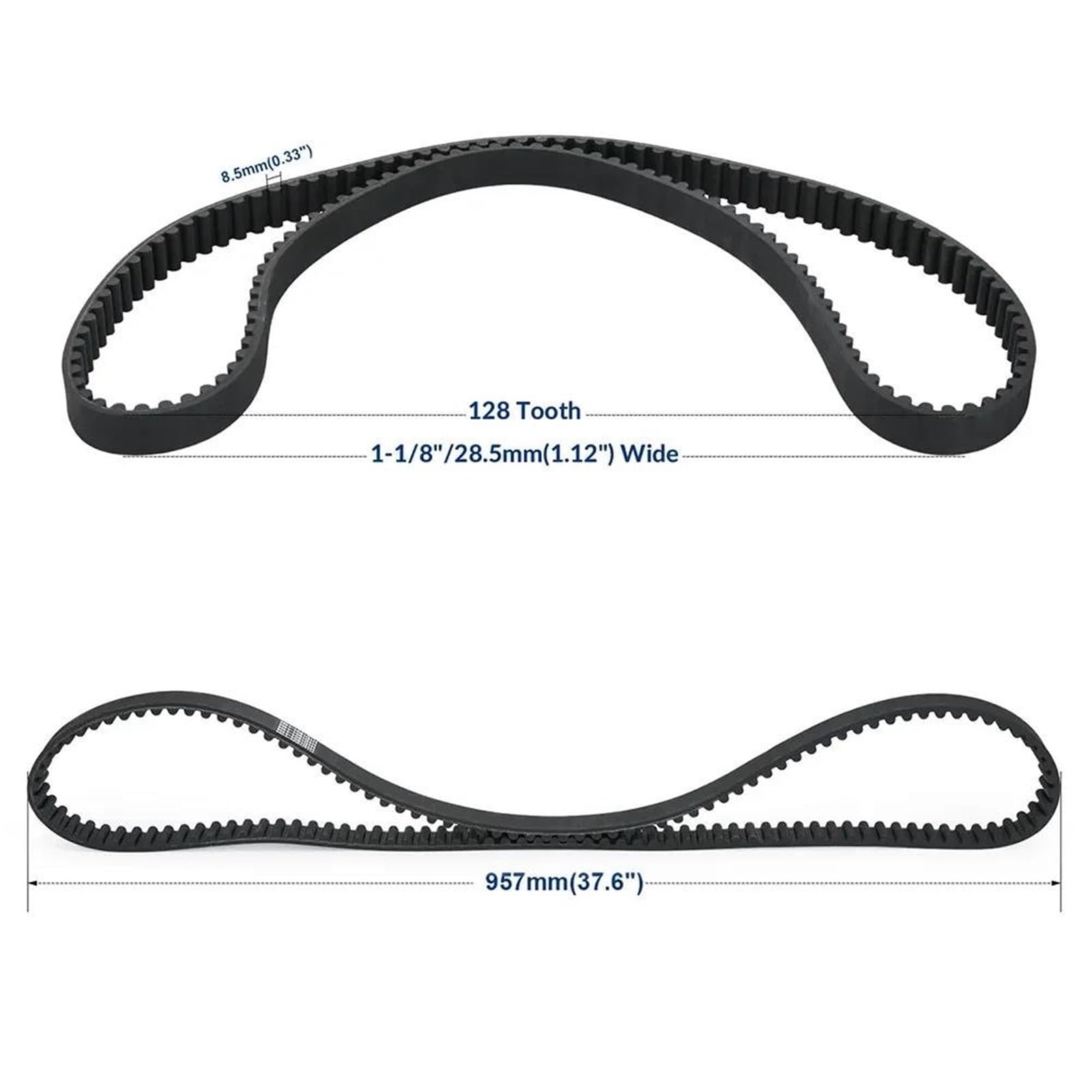 Cinghia Distribuzione Harley Davidson 883 - Trasmissione Posteriore 1 1/8" 136 Denti