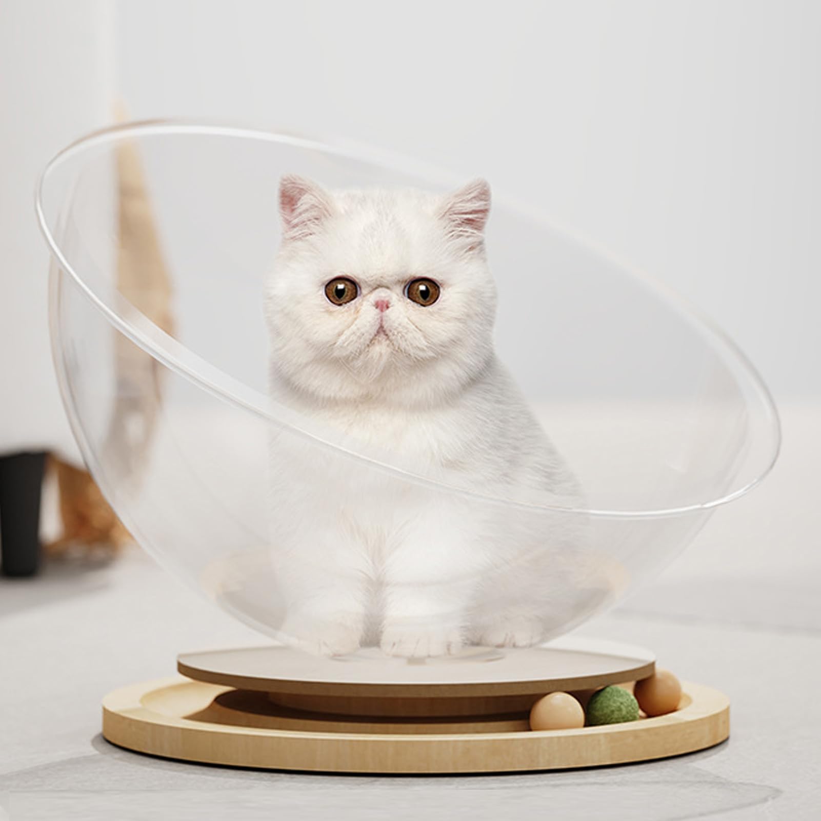 Fabater Letto per Gatti a Capsula Spaziale, Letto per Gatti Rialzato in Acrilico Trasparente con Piattaforma Girevole in Legno Massello con Erba Gatta per Che Dormono e Giocano