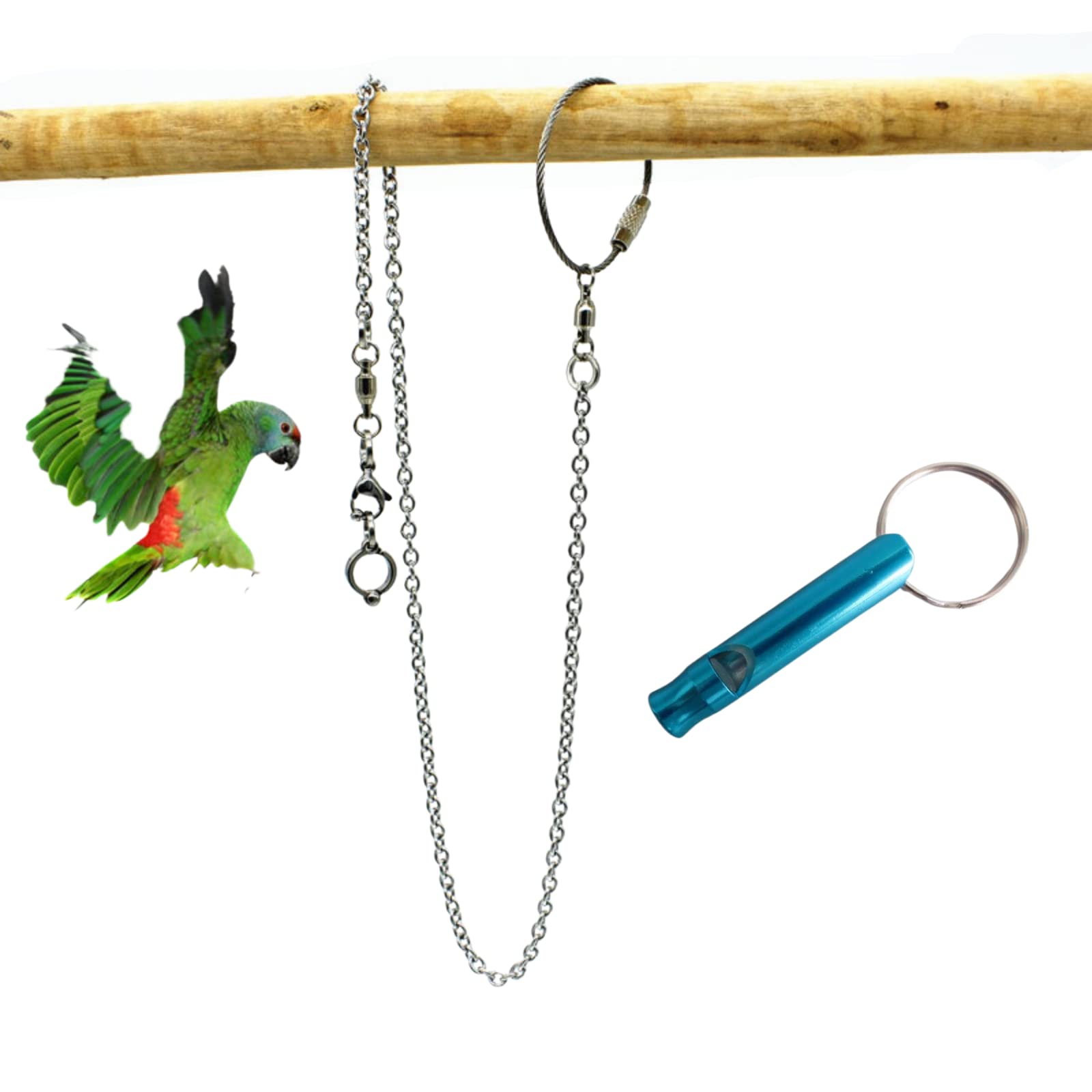 Bird Foot Chain Flying Stainless Steel Training Rope Outdoor Parrot Ankle Foot Ring Accessories Bird Harness Leash Prevent Escaping (Model12)